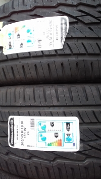 General (Continental) Grabber GT 111W(2020.06) 285/45 R19