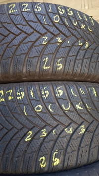 Firestone Winterhawk 4 101V XL(23.33) 225/55 R17