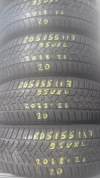 Dunlop Winter Sport 5 95V XL(18.28) 205/55 R17